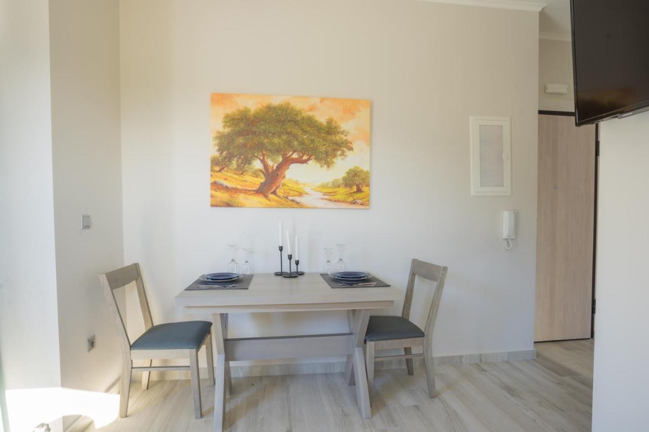 Apollonian Luxury Apartments Vasiliki  Luaran gambar